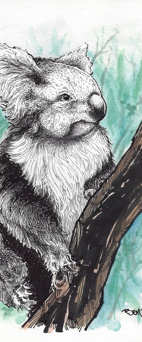 Koala by Ben De Soto