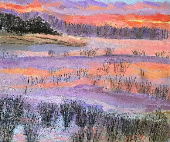 Sunrise And Grasses