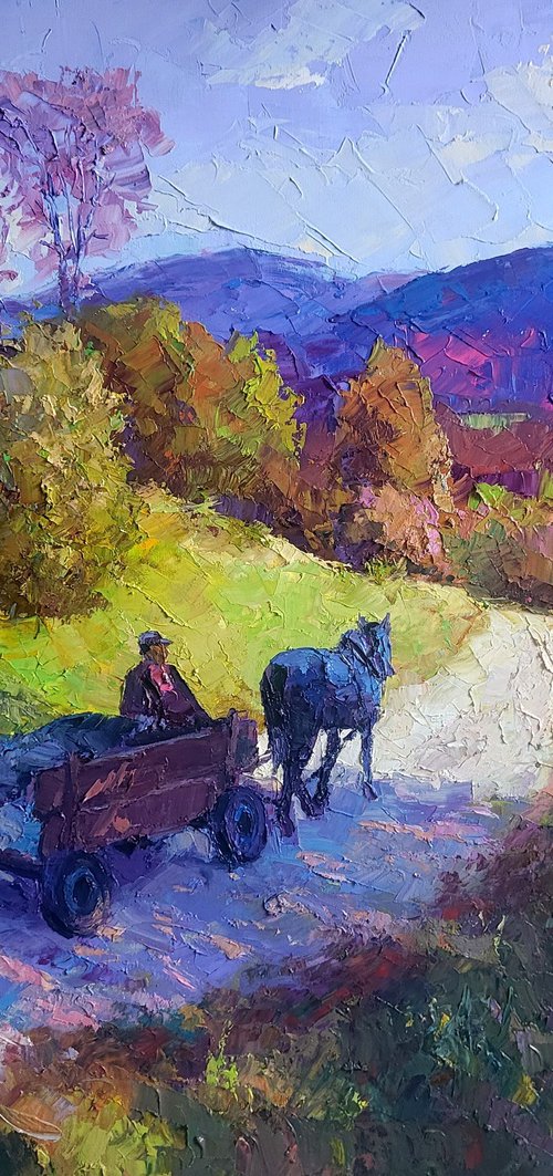 Mountain road by Boris Serdyuk