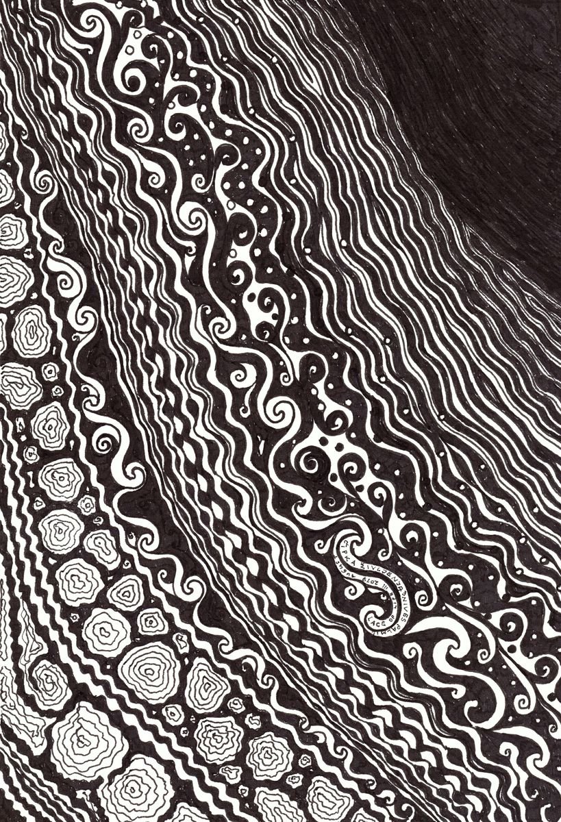 LACE OF LIFE III INk Drawings Series Conceptual by Nives Palmi?