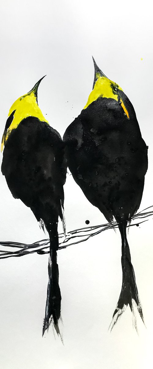 the swallows by Victor de Melo