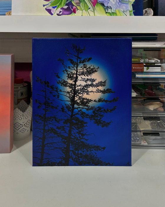 Nocturnal Pines (Reserved)