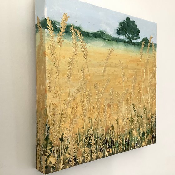 Little Wheat Field (1)