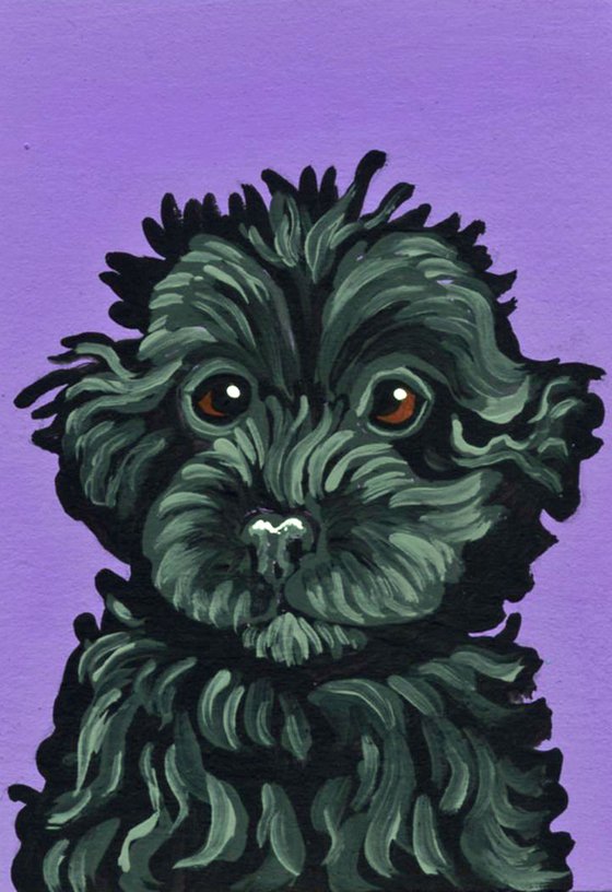 ACEO ATC Original Miniature Painting Black Pet Poodle Dog Pup Art-Carla Smale