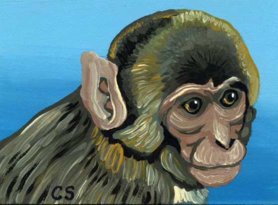 ACEO ATC Original Painting Monkey  Wildlife Art-Carla Smale