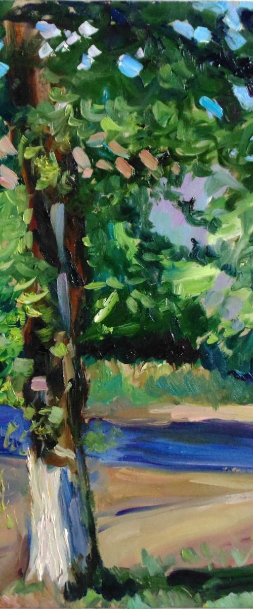 А tree on the street by Alexander Shvyrkov