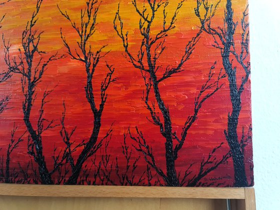 Sunny trees
