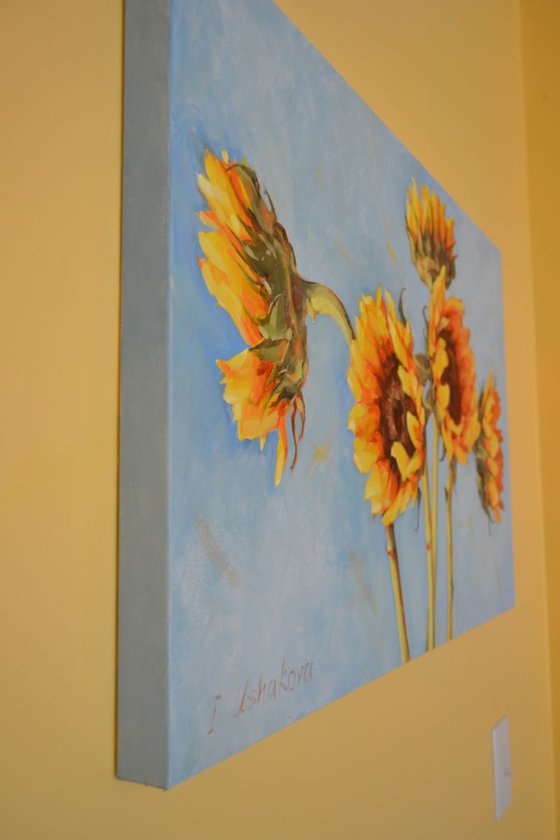 Sunflowers on blue