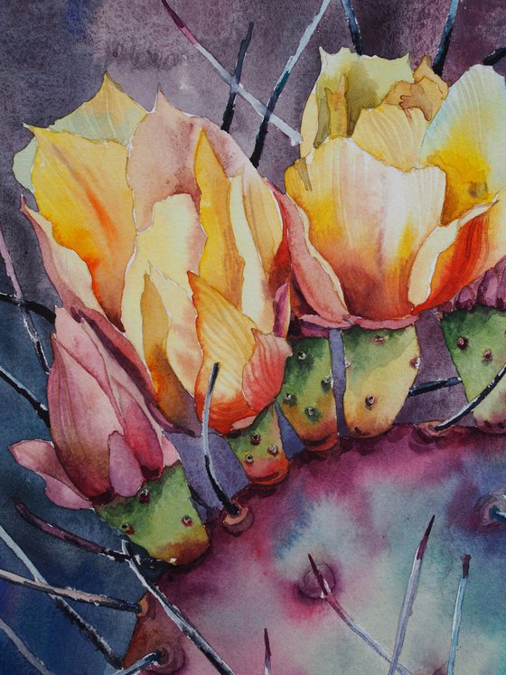 Cactus flowers - original sunny watercolor