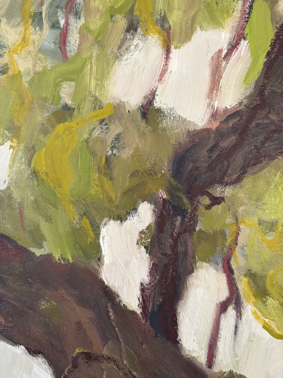 The Mulberry Tree