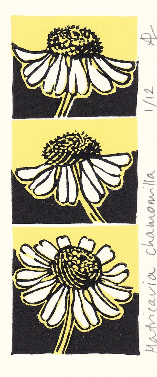 Camomile (butter and black colourway) by Alison Pearce