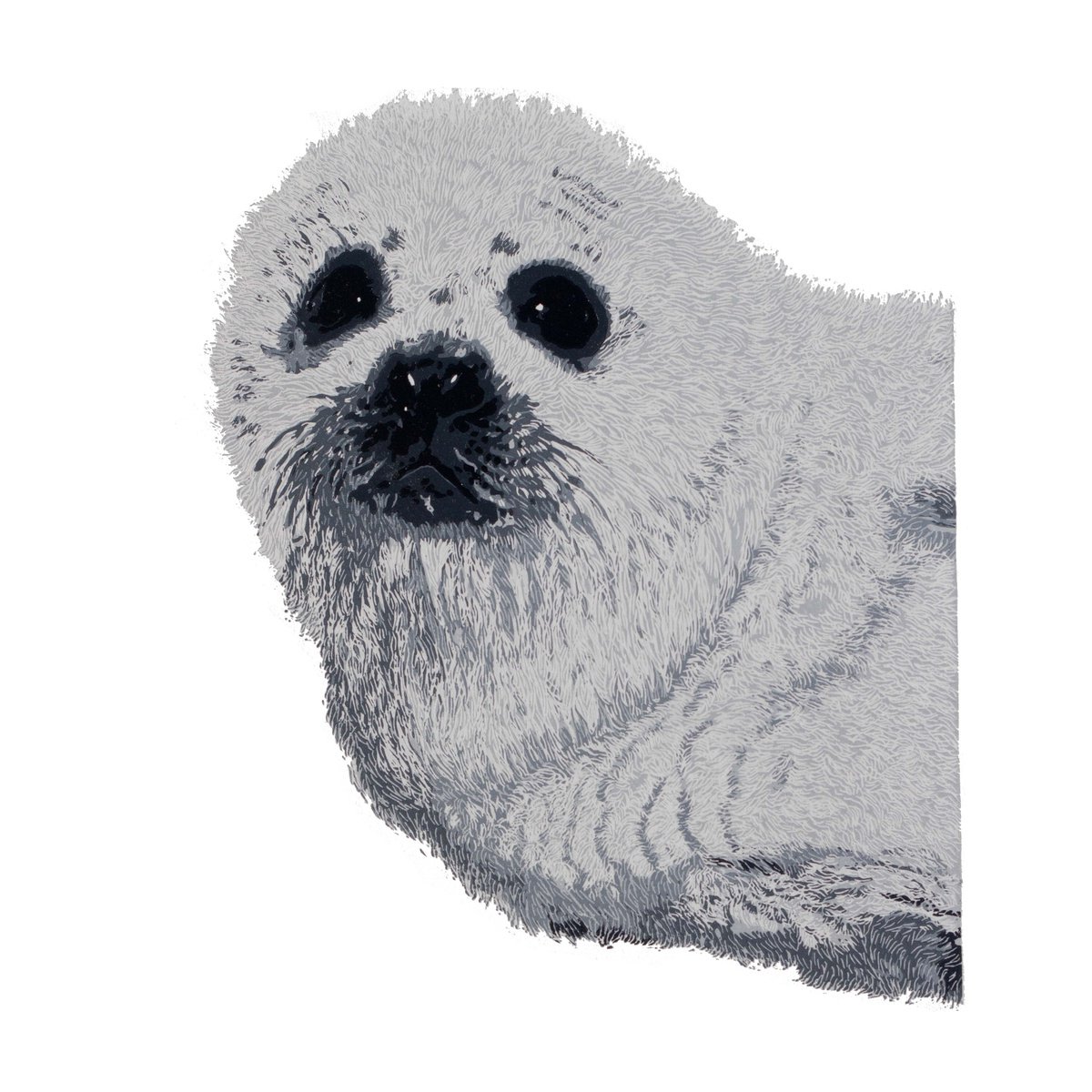 Seal by Wayne Longhurst