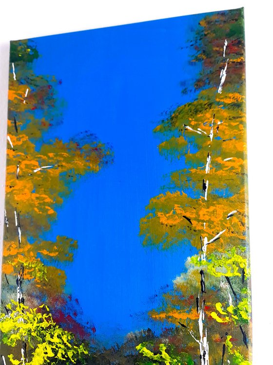 Heavenly Birches