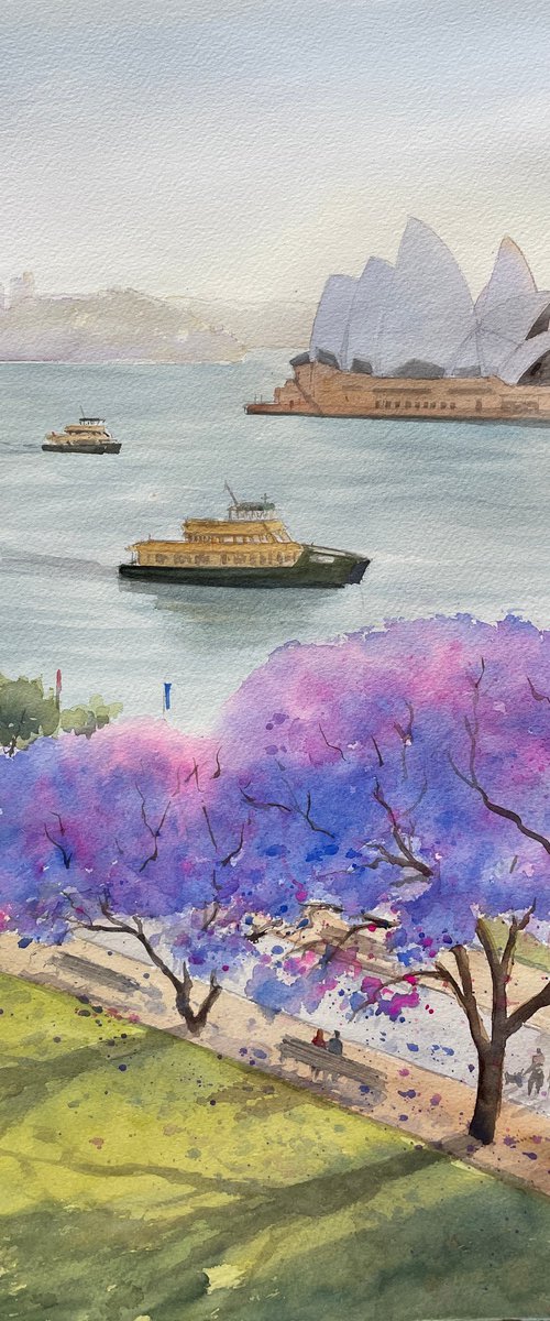 Sydney harbour - opera house with jacaranda by Shelly Du