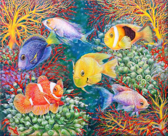 Underwater world.Coral reefs.