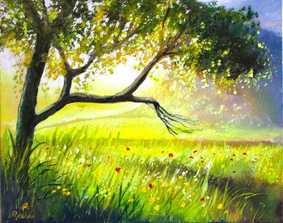 Summer Evening