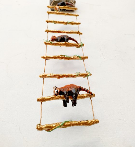 Red pandas climbing the ladder