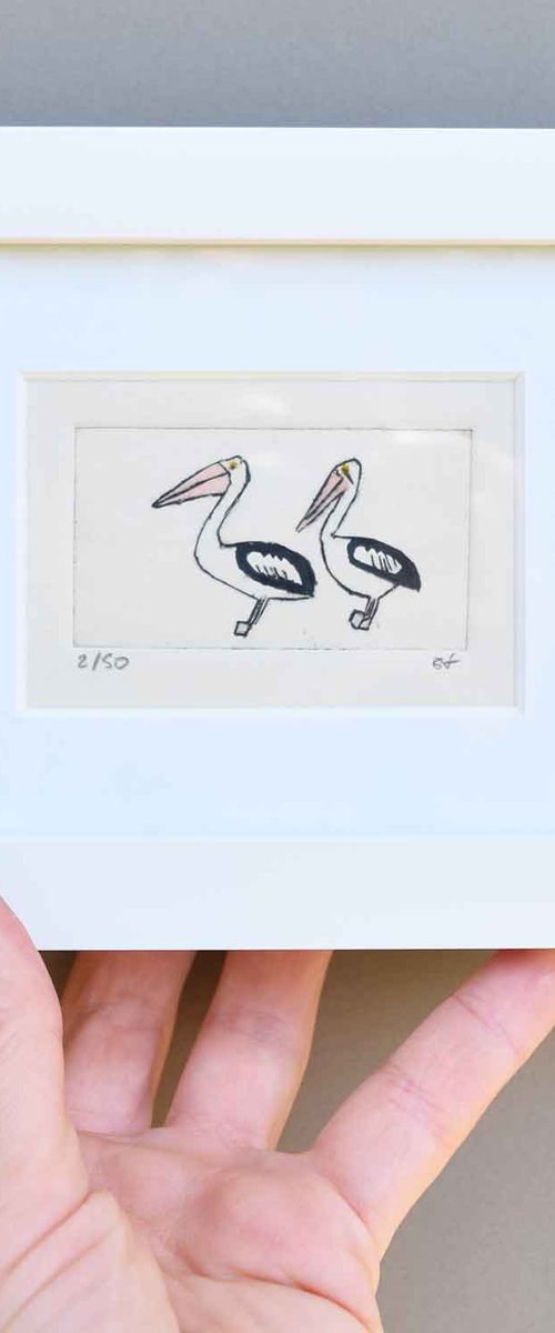 Small framed two pelicans by Sally Fisher