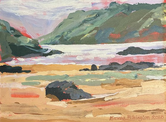 Salcombe Sunny Cove 2