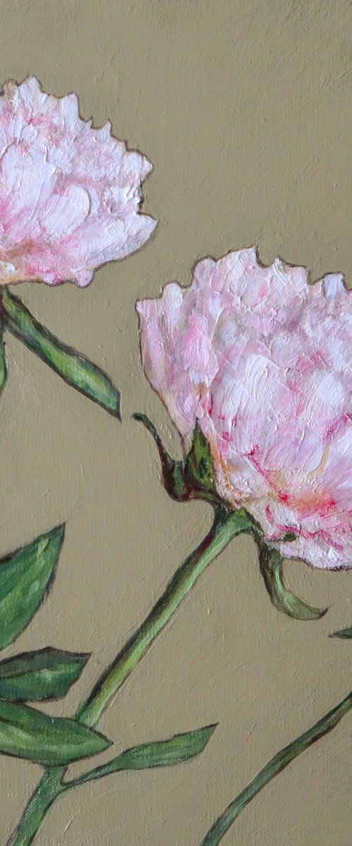 Peonies Study 1 by Katia Bellini