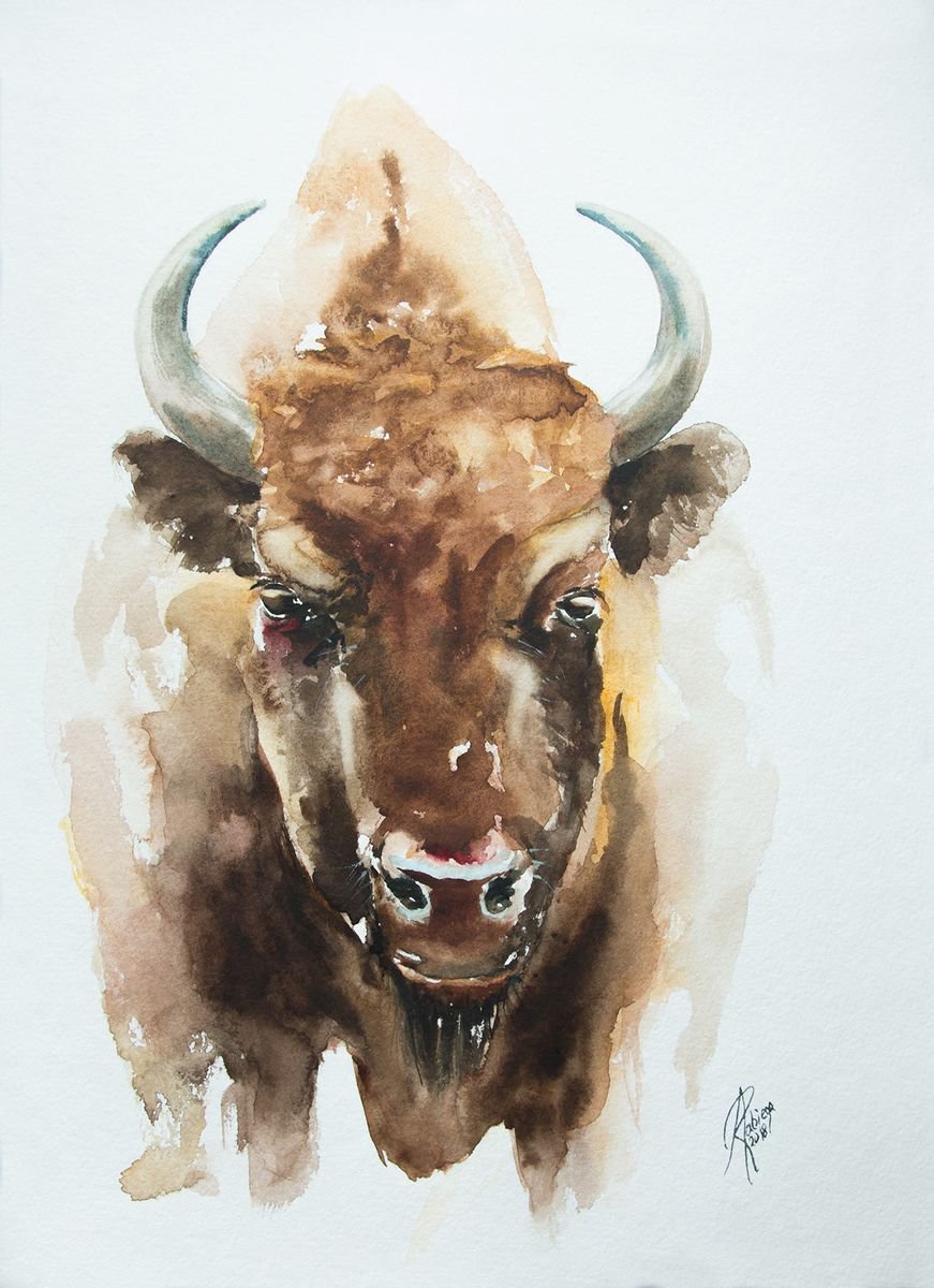 Illustrative Watercolour , Bison By Andrzej Rabiega, 11 X 15, Artwork For Sale On Artfinder