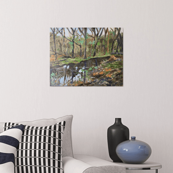 Stream in the forest