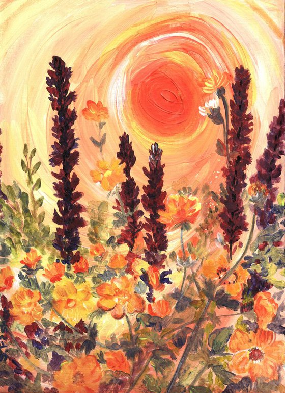 orange flowers and salvia at sunset