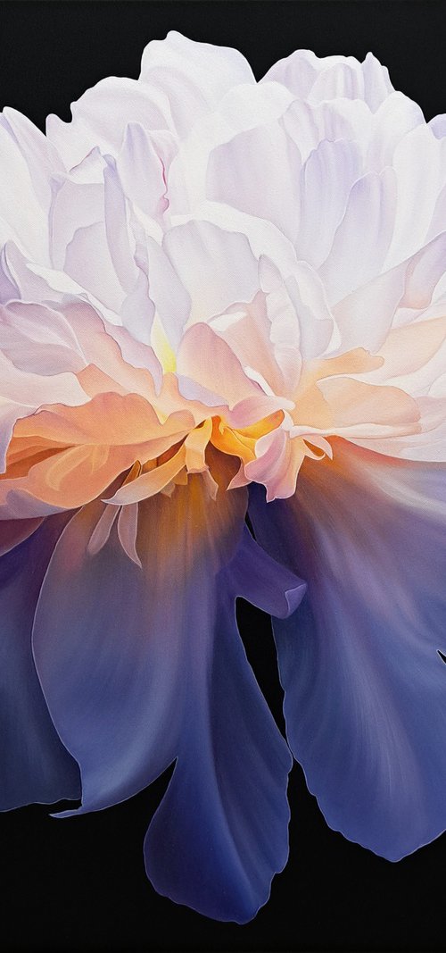 Peony dance by Anna Steshenko