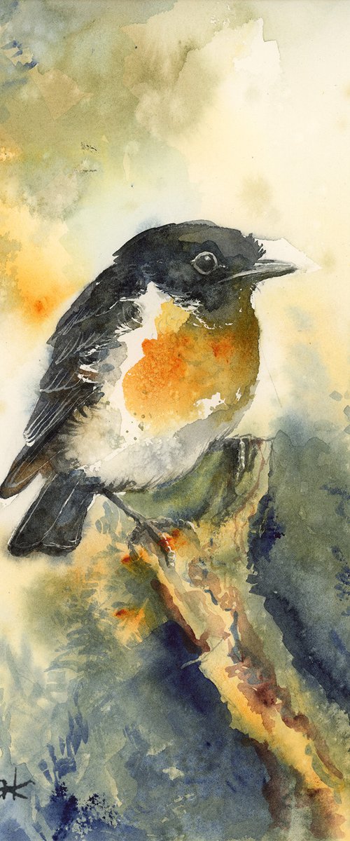 Stonechat, wildlife, birds watercolours by Karolina Kijak