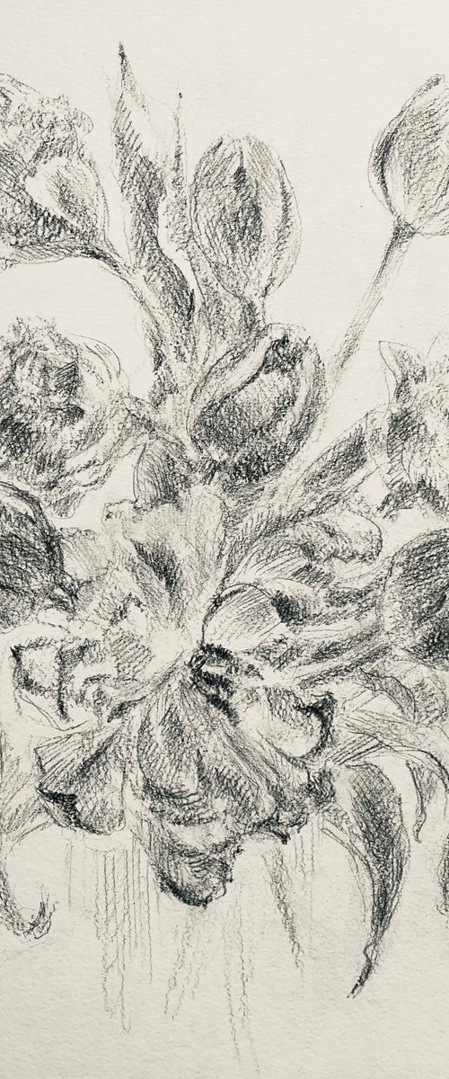 French tulips #2 . Original pencil drawing. 2020 by Yury Klyan