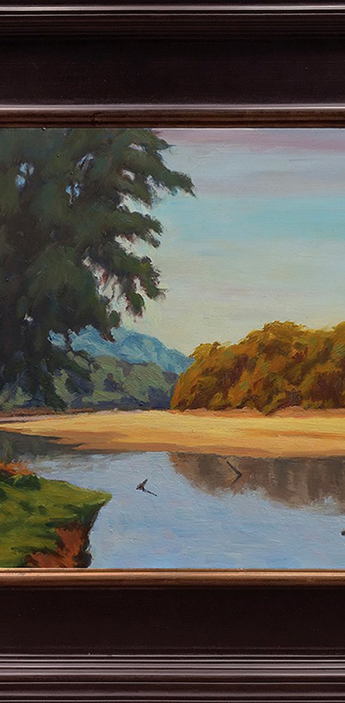 Pelican Island II by Daniel Brian Fishback