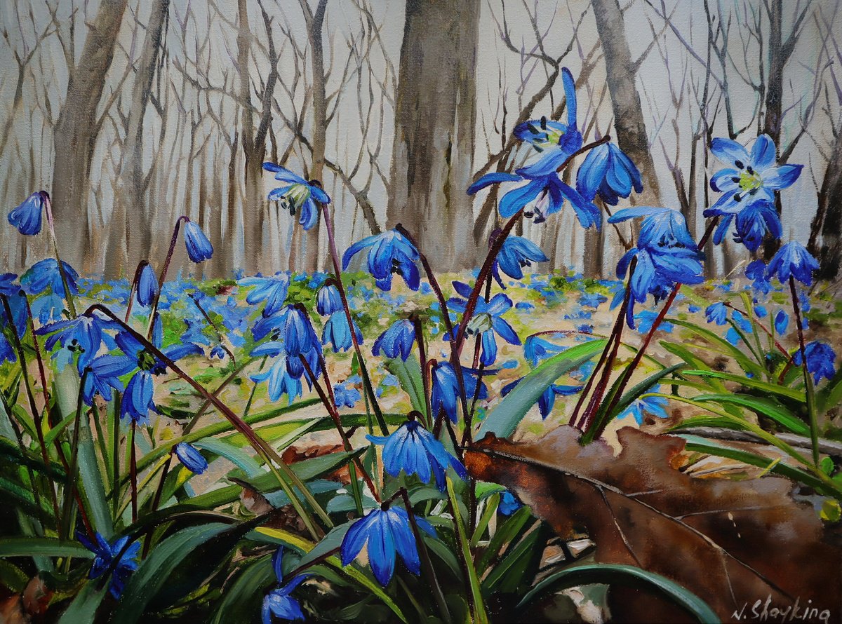 Original Spring Bluebell Flower Woods Landscape Painting Oil, Forest bluebell wall art, Sp... by Natalia Shaykina