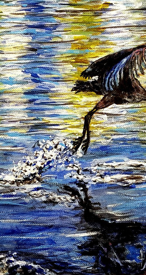 Heron In Flight by Robbie Potter