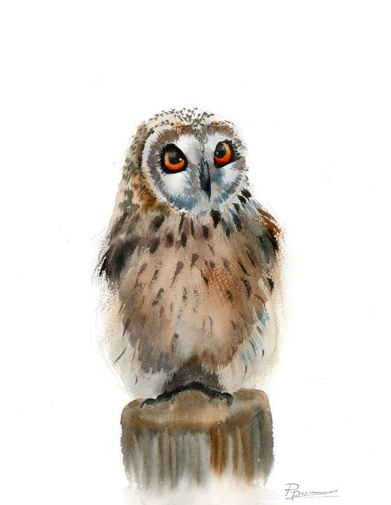 The OWL
