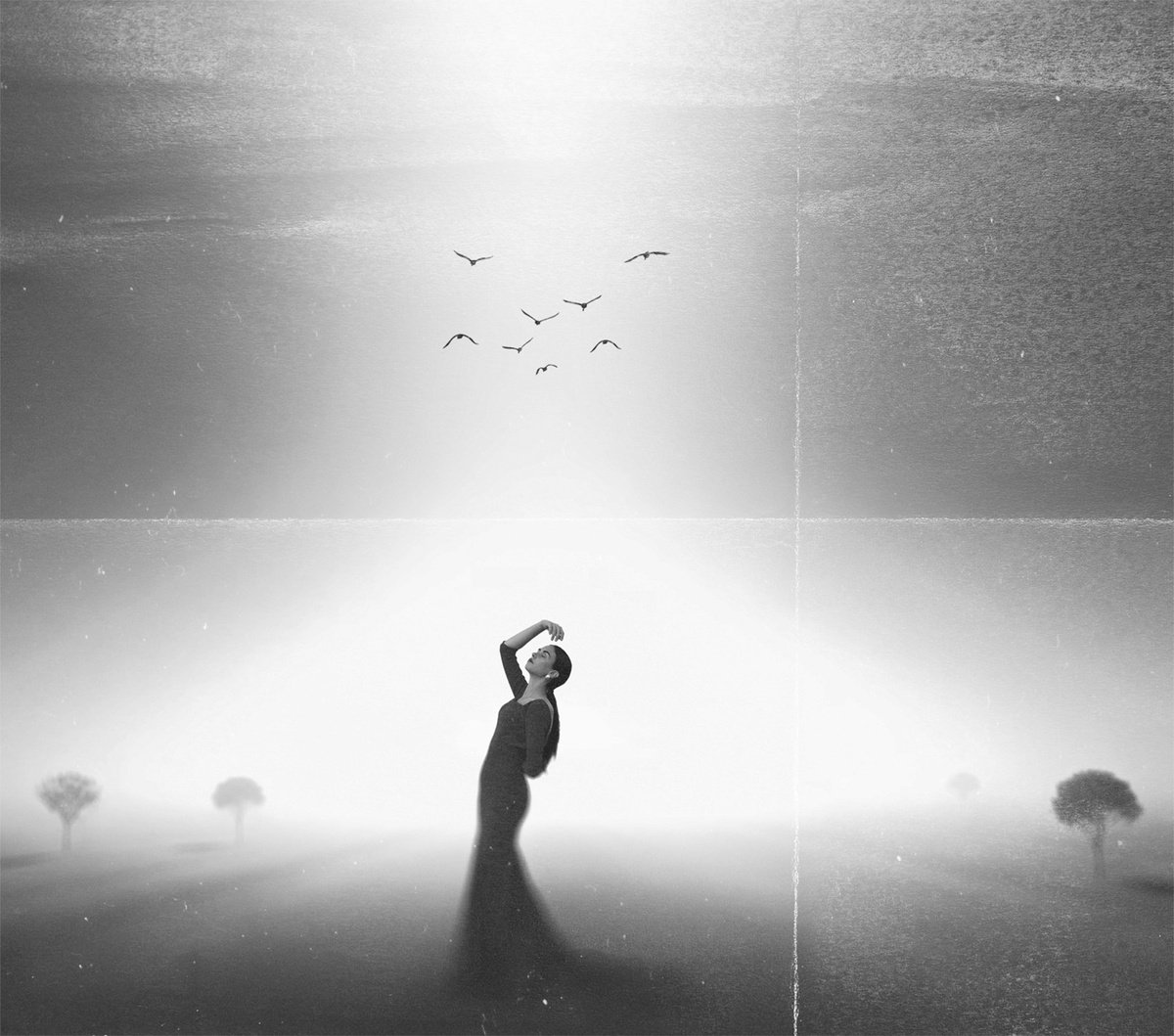 Surrealistic Portrait Photograph By Carmelita Iezzi, 24 X 24, Out Of This World | Bw Version, Original Artwork