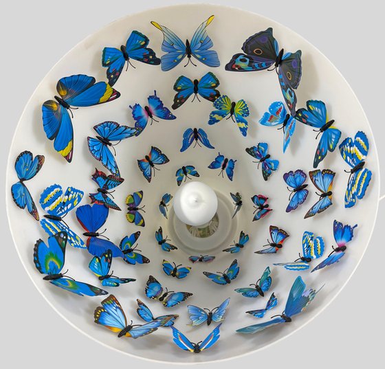 Butterfly roost