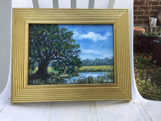 MARSH OAK - oil 5X7 (SOLD)