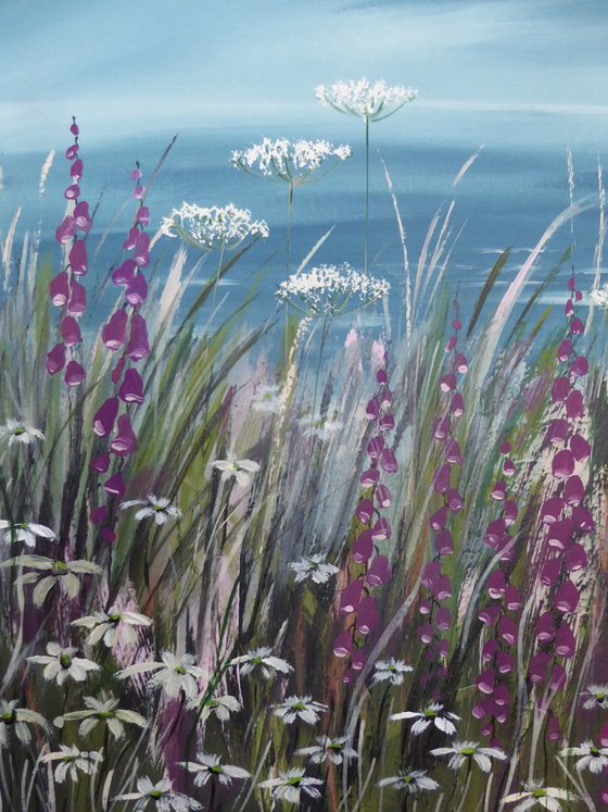 Foxgloves, Cornwall