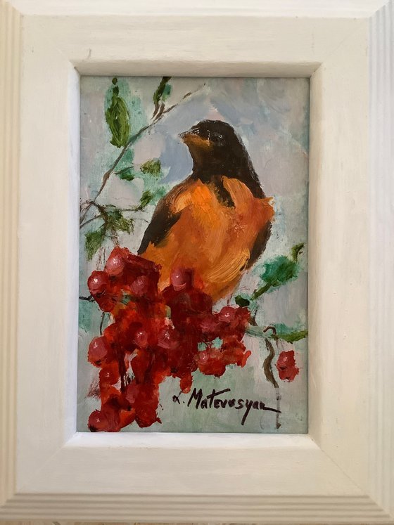 Oriole
