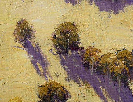 Drone view The Blue Mountains