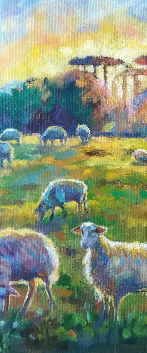 Sunlit Meadow with Sheep by Ann Krasikova