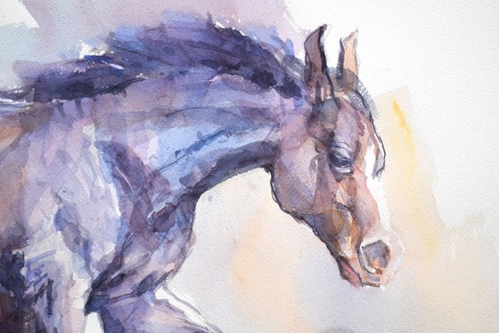 Horse in the run  3 (76x56)