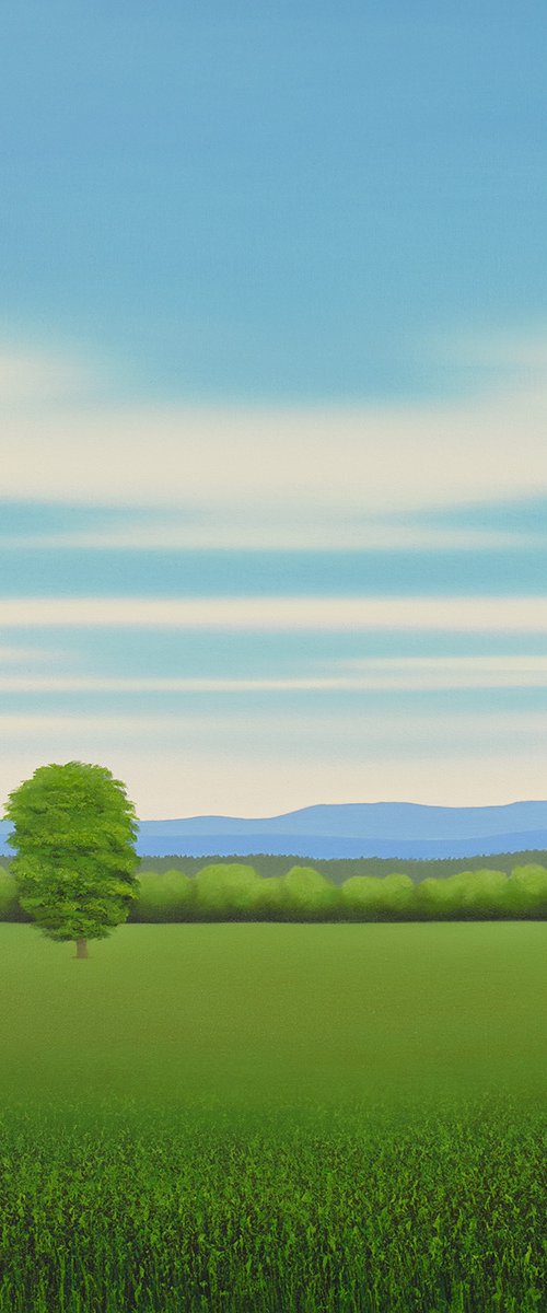Green Meadow - Blue Sky by Suzanne Vaughan