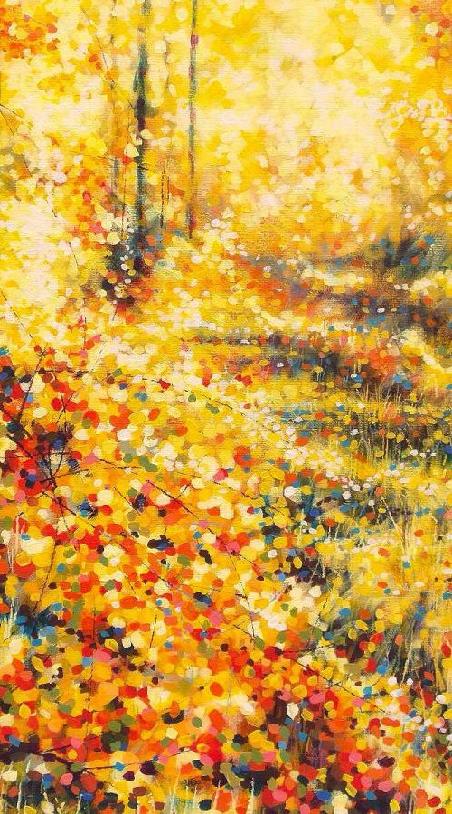 Golden light in the forest by Marc Todd