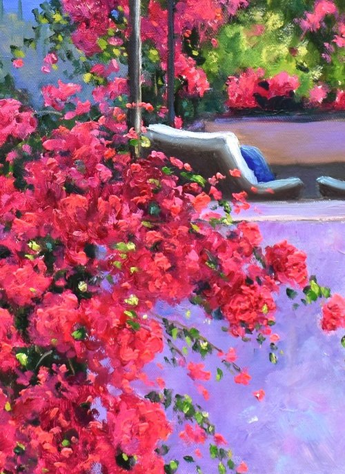 Climbing Bougainvillea by Yulia Nikonova