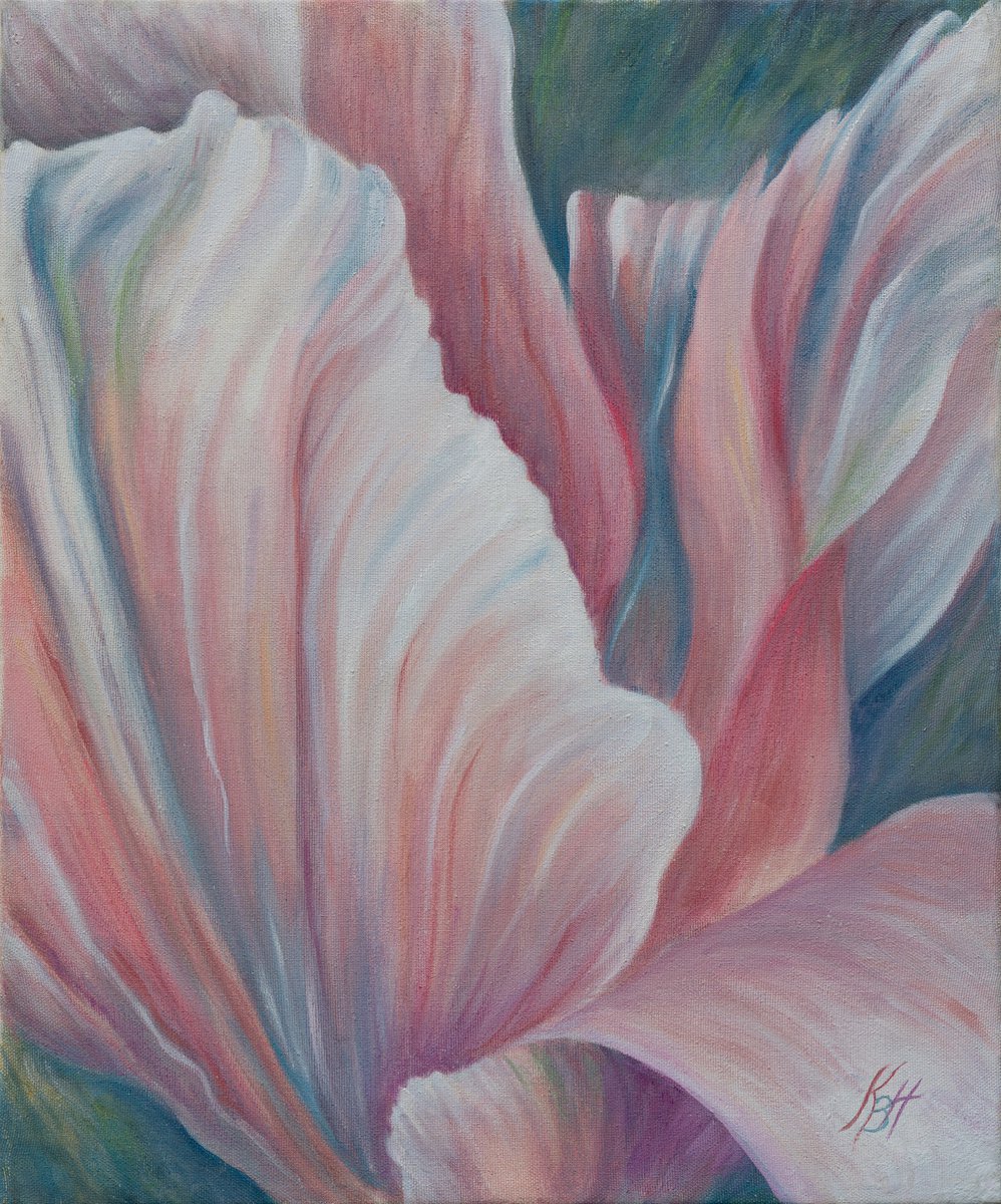 Blooming tulip by Katia Boitsova-Hosek