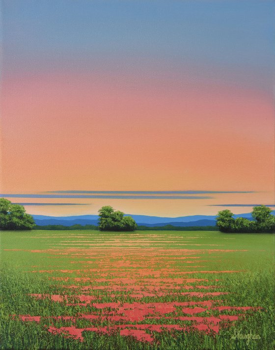 Red Poppy Field