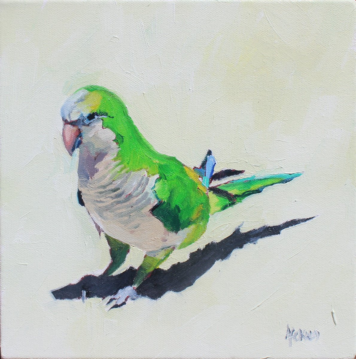 Impressionistic Animal Oil Painting By Afekwo, 9 X 9, Monk Parakeet, Original Artwork