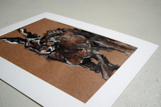 Hare Study