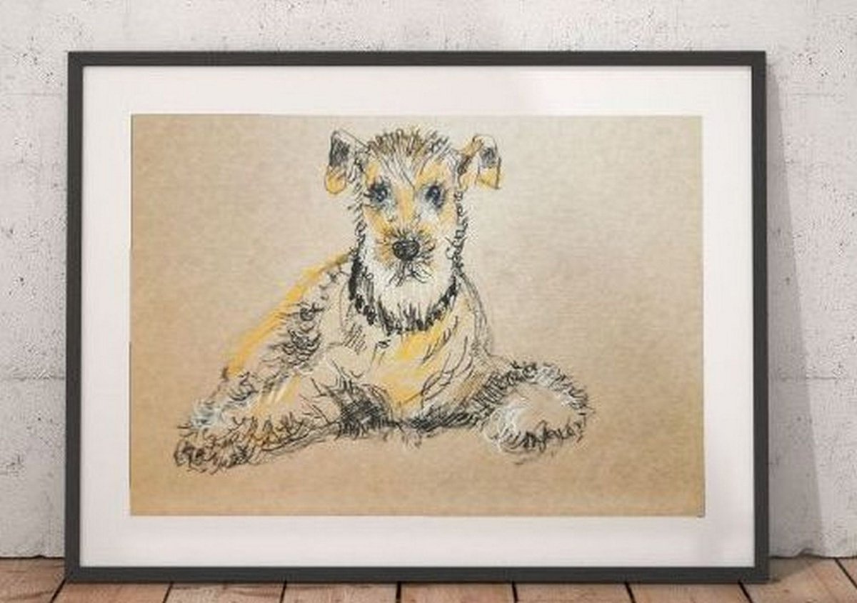 Wire Fox Terrier Charcoal drawing by Asha Shenoy